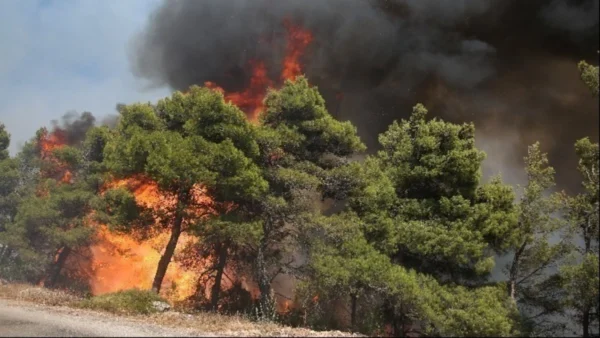 Εκτός ελέγχου η φωτιά στην Εύβοια - Εκκενώνονται οικισμοί, καίγονται γραμμές της ΔΕΗ