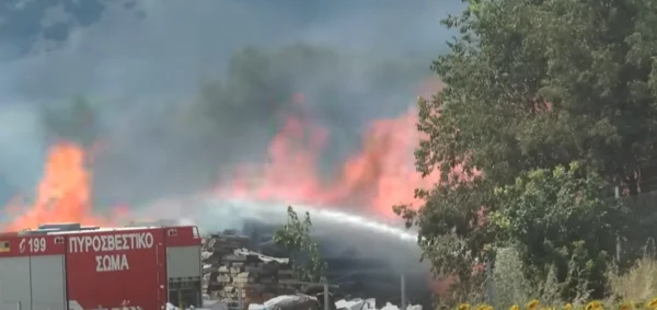 Σέρρες- Φωτιά στο Νέο Σούλι: Κάηκαν καλλιέργειες, καταστράφηκε ολοσχερώς η ξυλεία του εργοτασίου