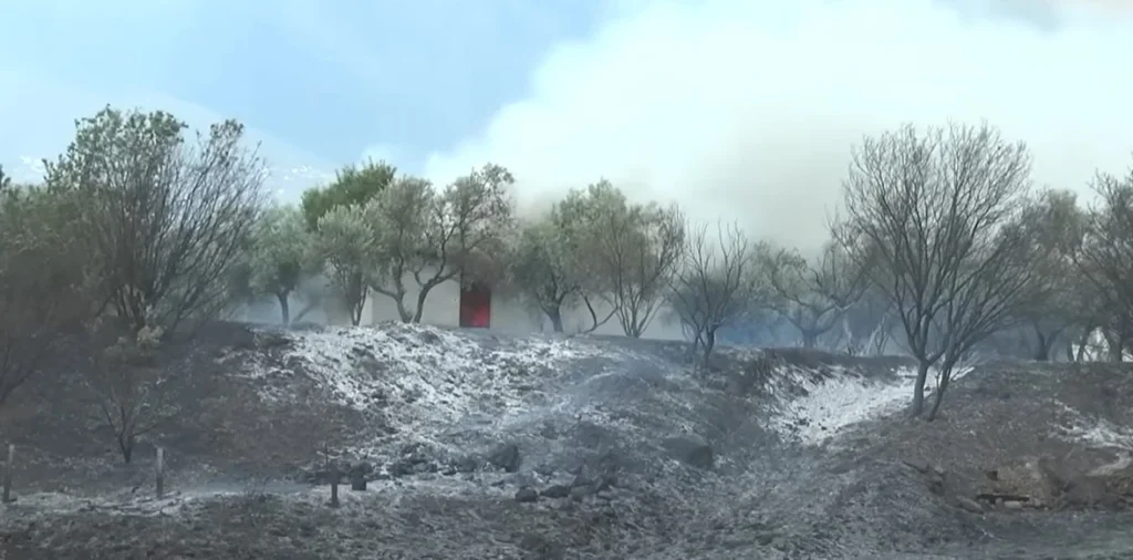 Σέρρες- Φωτιά στο Νέο Σούλι: Κάηκαν καλλιέργειες, καταστράφηκε ολοσχερώς η ξυλεία του εργοτασίου