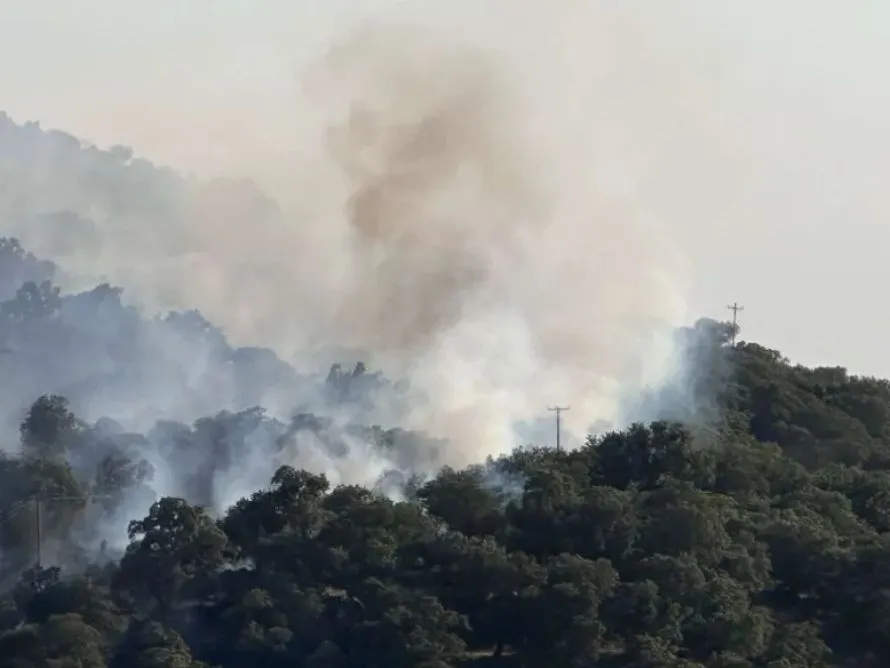 Φωτιά στο Σκαλοχώρι Λέσβου: Πνέουν ισχυροί άνεμοι - Μεγάλη κινητοποίηση της πυροσβεστικής