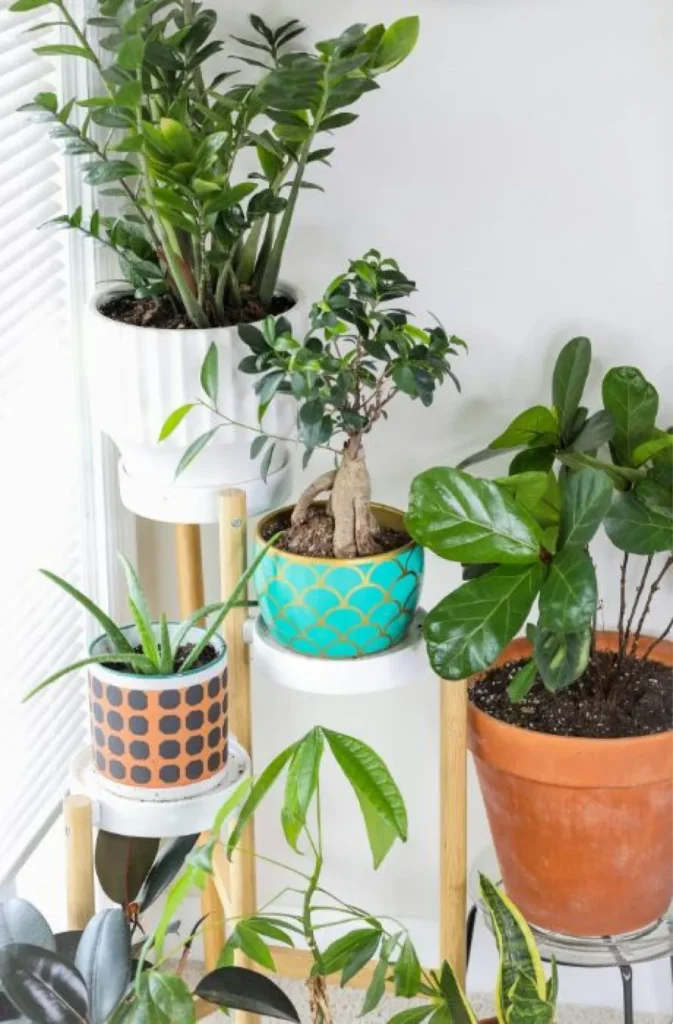 DIY σπρέι για για να προστατέψετε τα φυτά εσωτερικού χώρου 