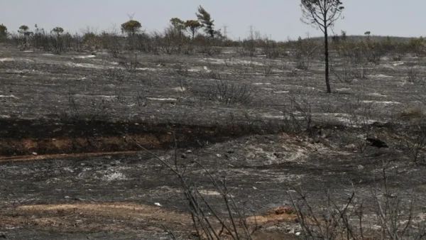 Στα 55.540 στρέμματα η πληγείσα έκταση από τις πυρκαγιές σε Κύθηρα, Εύβοια, Αττική, Χανιά και Μεσσηνία