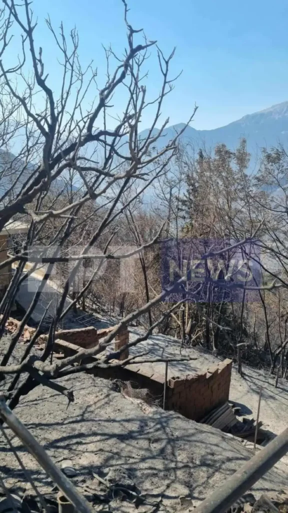Πυρκαγιά στον Φενεό – Η επόμενη μέρα: Στάχτη χιλιάδες στρέμματα δάσους, ζημιές σε σπίτια και καλλιέργειών