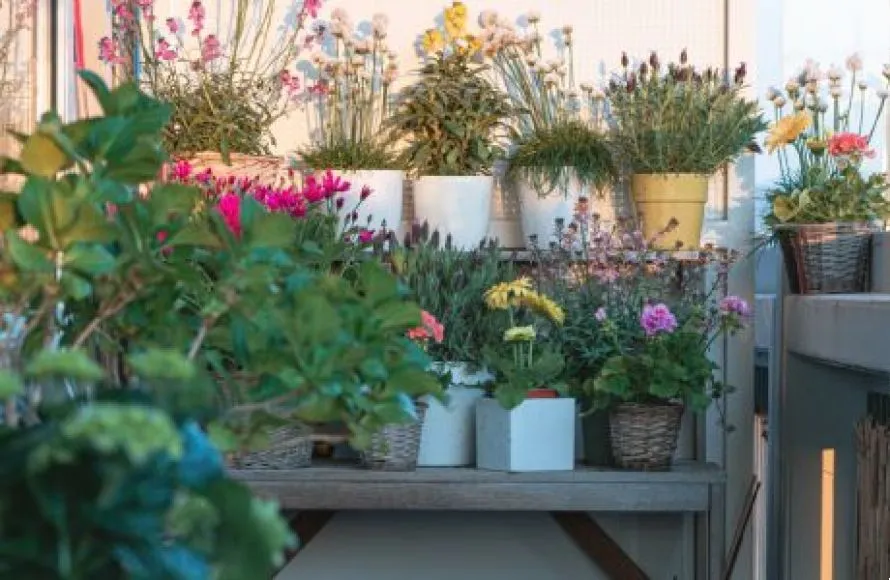 Ζήστε το καλοκαίρι μέσα και έξω: Ιδέες για ένα θερινό καθιστικό