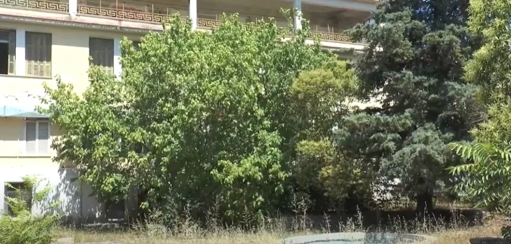 Με πάρκο άγριας φύσης μοιάζει ο αύλειος χώρος του παλιού Νοσοκομείου Σερρών - video