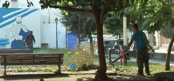 Μάχη με τον χρόνο από την υπηρεσία Πρασίνου στις Σέρρες - Σε εξέλιξη οι εργασίες καθαρισμού - video