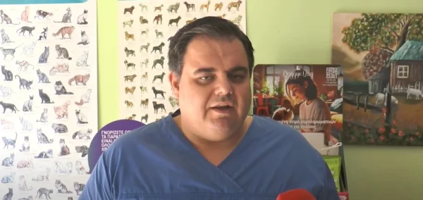 Πώς να προφυλάξουμε τους τετράποδους φίλους μας από την ζέστη - video