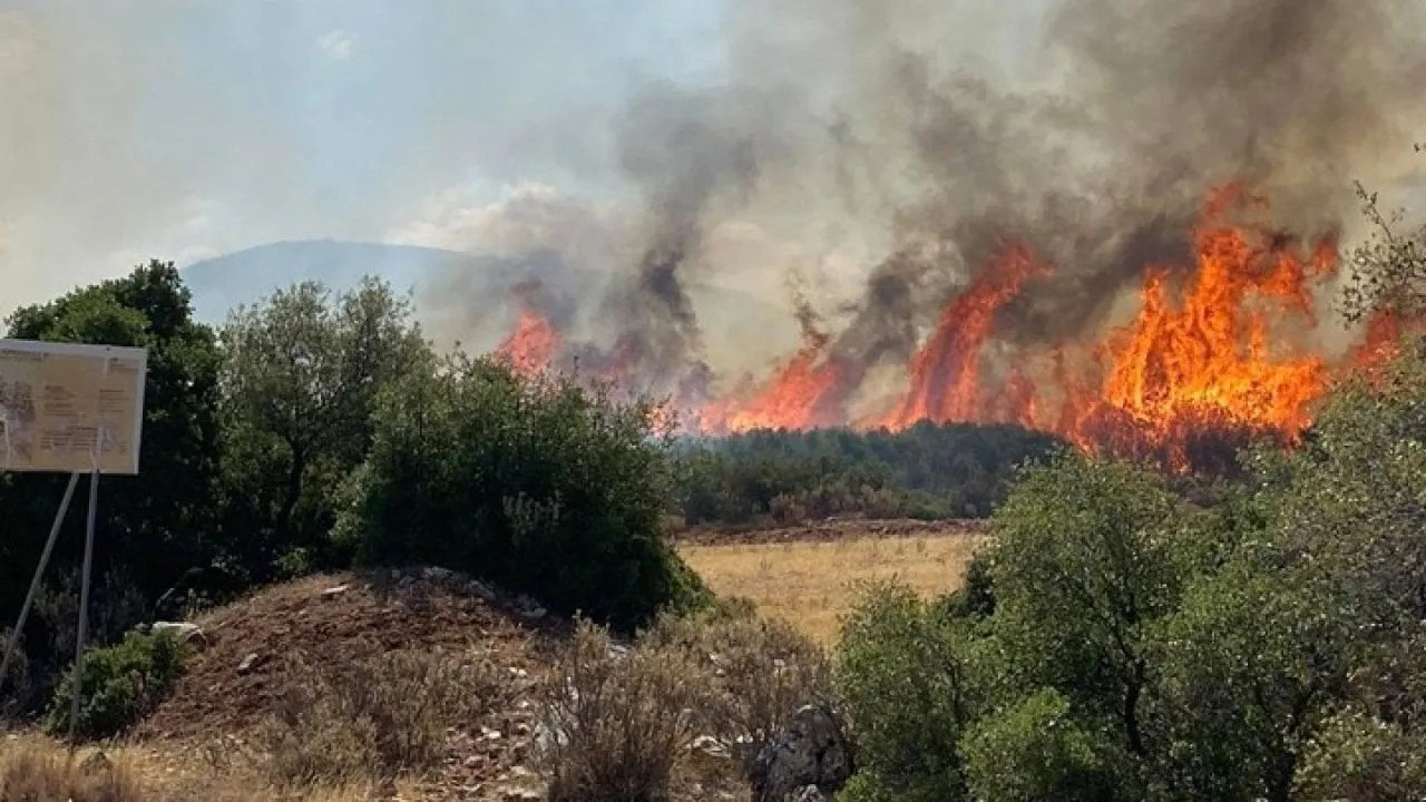 Πολύ υψηλός κίνδυνος πυρκαγιάς την Κυριακή σε Αττική, Στερεά Ελλάδα, Πελοπόννησο, Κρήτη, Β. Αιγαίο