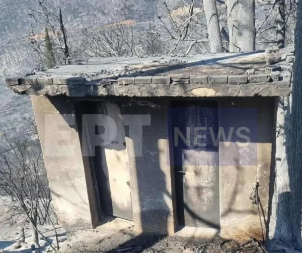 Πυρκαγιά στον Φενεό – Η επόμενη μέρα: Στάχτη χιλιάδες στρέμματα δάσους, ζημιές σε σπίτια και καλλιέργειών