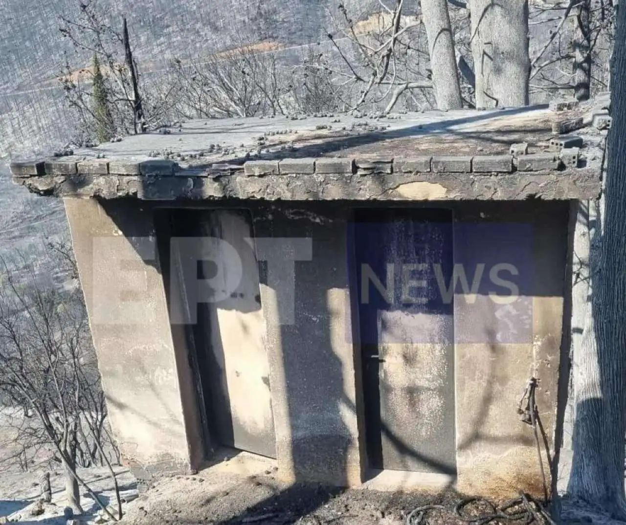 Πυρκαγιά στον Φενεό – Η επόμενη μέρα: Στάχτη χιλιάδες στρέμματα δάσους, ζημιές σε σπίτια και καλλιέργειών