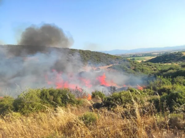 Φωτιά τώρα στον Νερόμυλο Μεσσηνίας