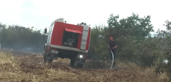 Ν. Μόσχος: Τα χρήματα που δίνονται για να κάνουμε αντιπυρικές ζώνες είναι ελάχιστα - video