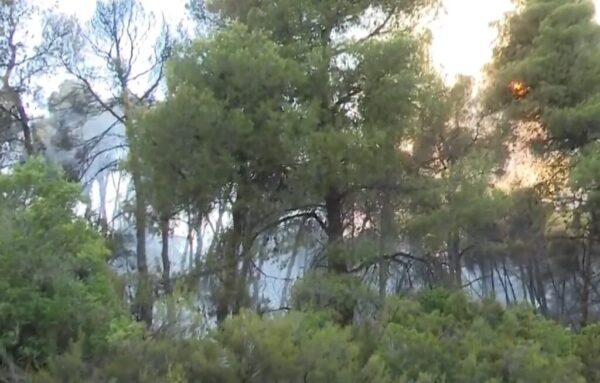 Χαλκιδική: Βελτιωμένη η εικόνα της φωτιάς στη Βουρβουρού – Έρευνες για ενδεχόμενο εμπρησμού