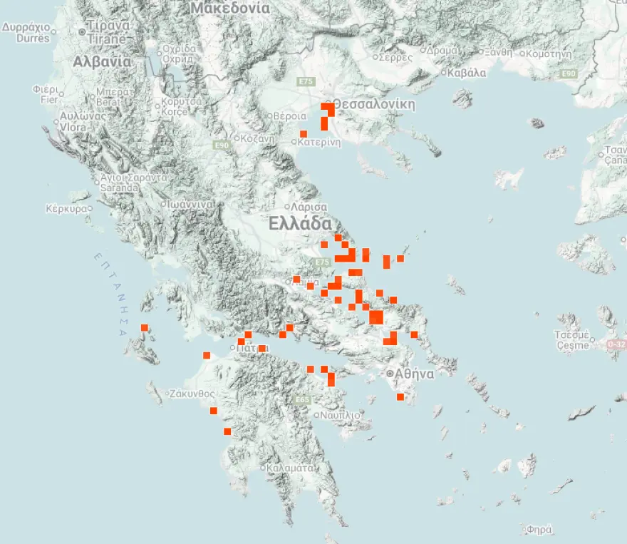 Μωβ μέδουσες: Εξαπλώνονται στις ελληνικές θάλασσες - Πότε είναι επικίνδυνο το τσίμπημά τους, οι οδηγίες του ΕΟΔΥ