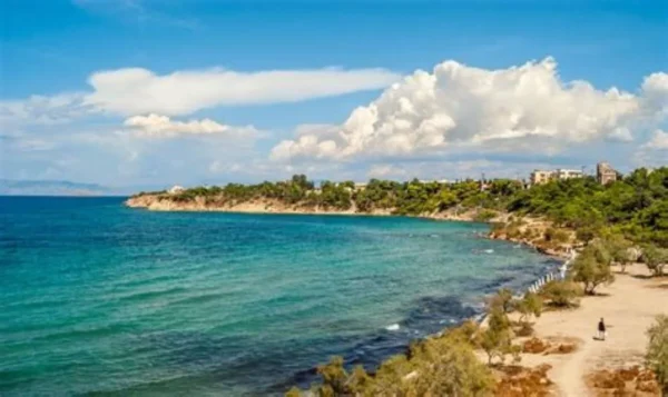 Αίγινα: Γυναίκα έχασε την ζωή της γιατί δεν υπήρχε οδηγός ασθενοφόρου στην βάρδια