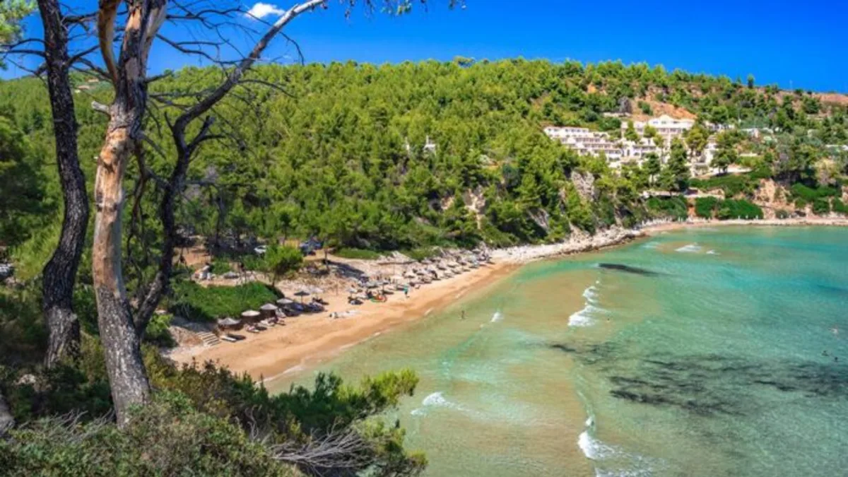 Αλόννησος: Συνελήφθη 70χρονος που επιτέθηκε στον δήμαρχο και υπέστη εγκεφαλικό