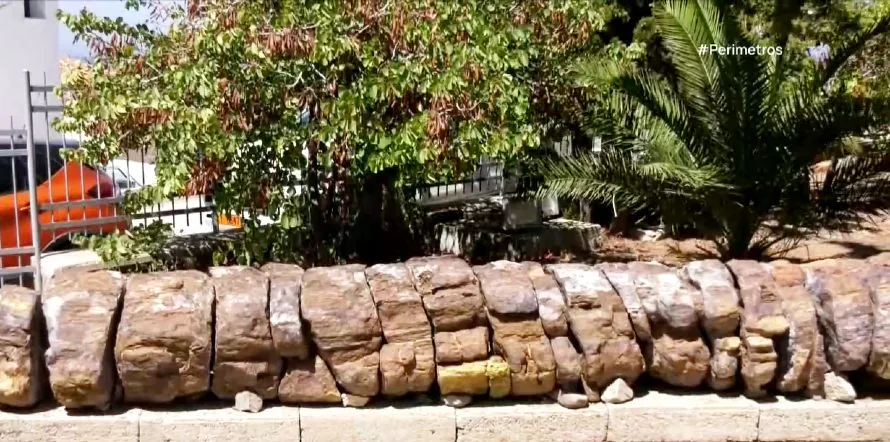 Απολιθωμένα φυτά εκατομμυρίων ετών στην Λέσβο