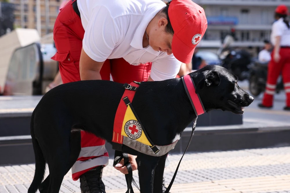 Πώς να σώσεις τον σκύλο σου και πώς μπορεί να σε σώσει κι εκείνος