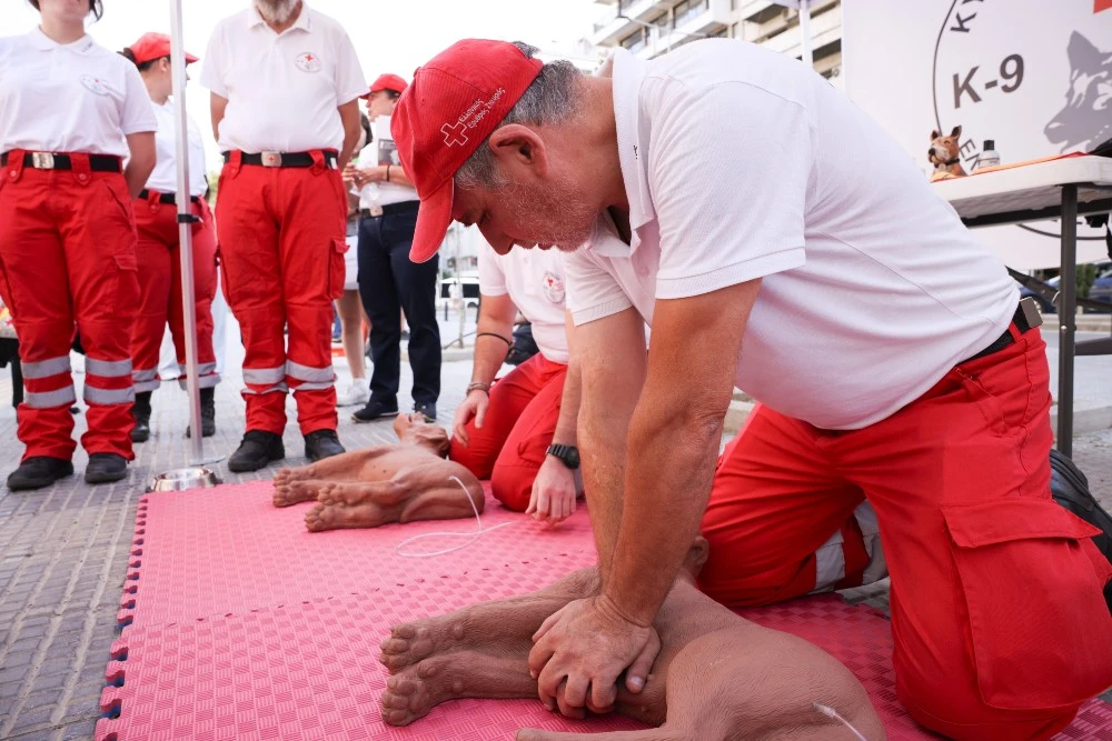 Πώς να σώσεις τον σκύλο σου και πώς μπορεί να σε σώσει κι εκείνος
