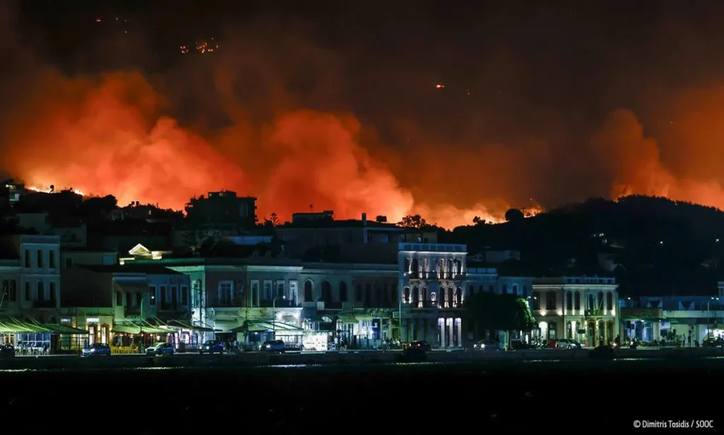 Ελληνική Ορνιθολογική Εταιρεία: Για ακόμη μια χρονιά τα κυνηγετικά συμφέροντα υπερισχύουν της προστασίας της φύσης