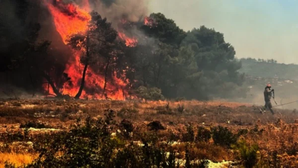 Πυροσβεστική: 106 πυρκαγιές αυτή τη στιγμή - Οι 63 από αυτές εκδηλώθηκαν σήμερα