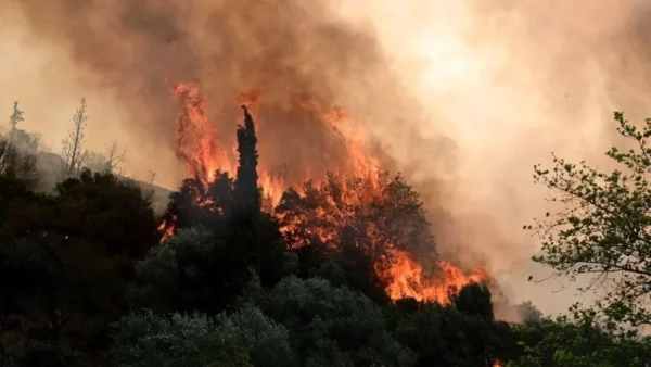 Πυροσβεστική: 109 πυρκαγιές σε εξέλιξη - 48 το τελευταίο 24ωρο - 71 διακομιδές σε νοσοκομεία