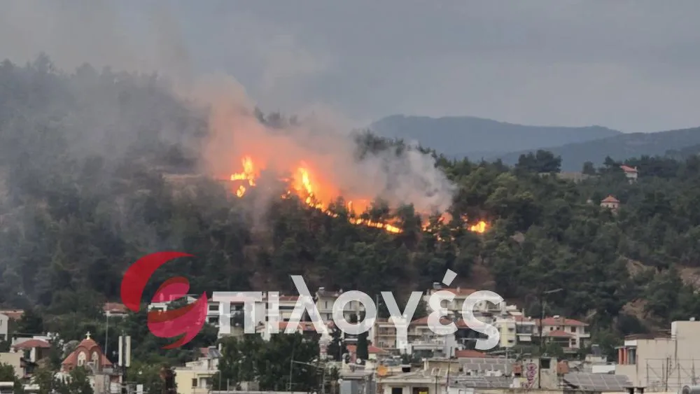 Σέρρες -ΤΩΡΑ: Φωτιά σε εξέλιξη στον Κουλά - video