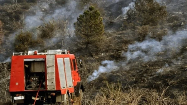Χωρίς ενεργό μέτωπο η φωτιά στη Μεγάλη Βόλβη