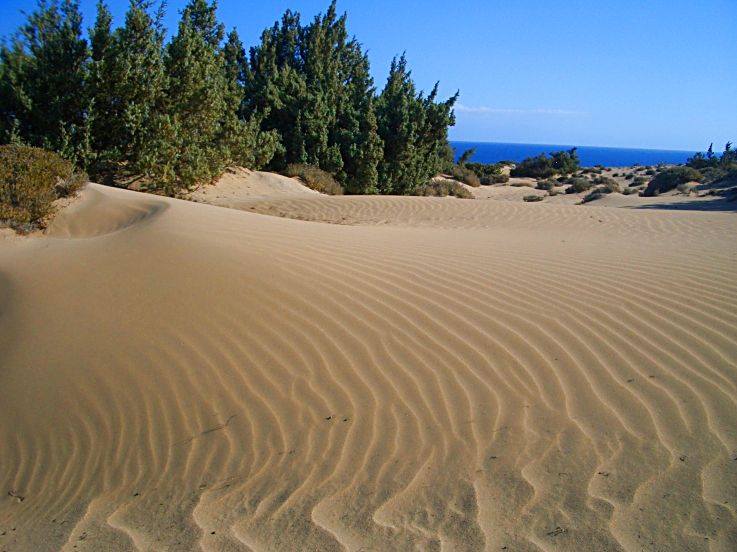 Γαύδος… Το “παρθένο διαμάντι” του Νότιου Κρητικού Πελάγους