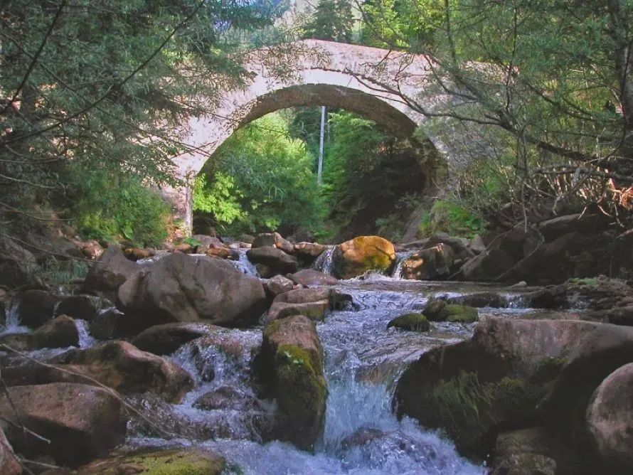 Τα πέτρινα γεφύρια του Δήμου Μετεώρων - Μνήμη, αρχιτεκτονική και προσπάθειες διάσωσης