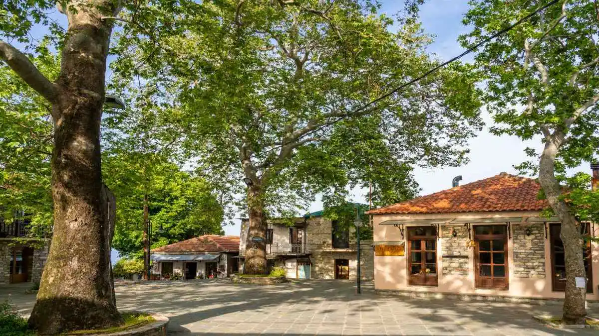 Ιατρείο χωρίς γάζες στο Κεραμίδι Μαγνησίας – Έδεσαν τραυματία με… τραπεζομάντηλα