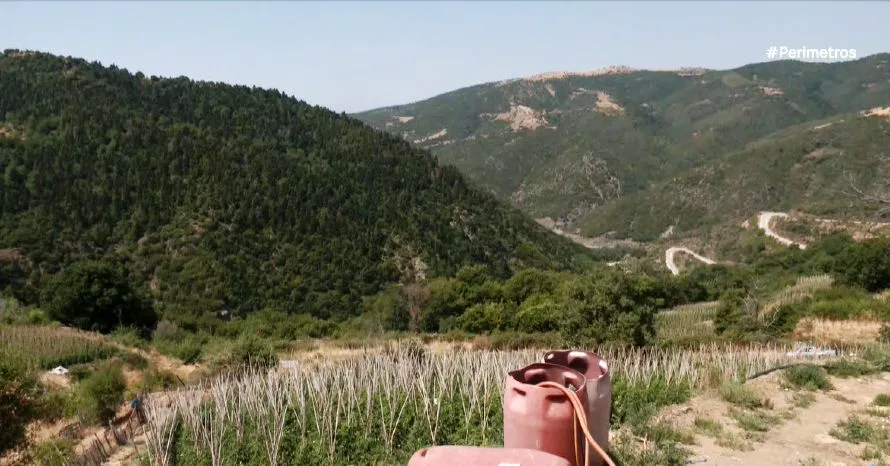 Η ντομάτα της Σπηλιάς Κισσάβου