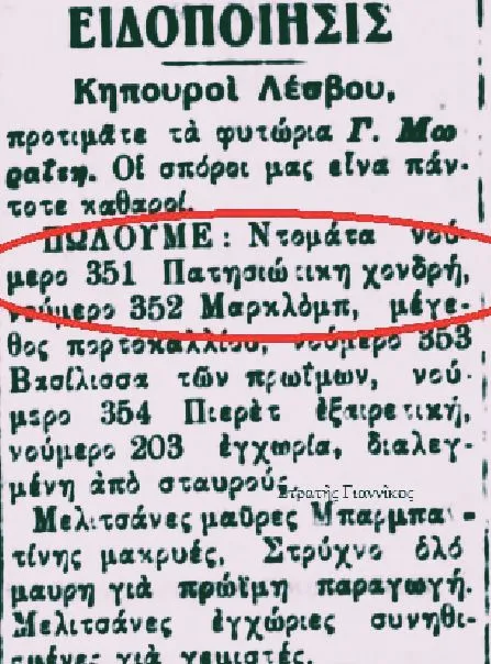 Όταν οι ακρίδες σκίασαν τον Αττικό ουρανό και ανάγκασαν τον δήμαρχο Πετράκη να τις επικηρύξει