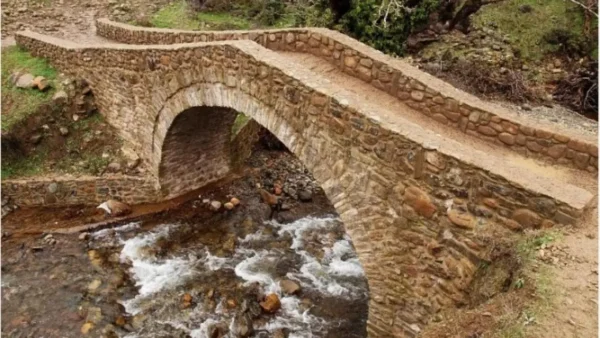 Τα πέτρινα γεφύρια του Δήμου Μετεώρων - Μνήμη, αρχιτεκτονική και προσπάθειες διάσωσης