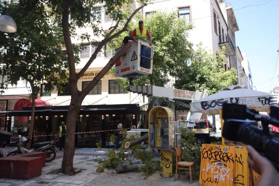 Πτώση δέντρου στην Ερμού λόγω των ισχυρών ανέμων
