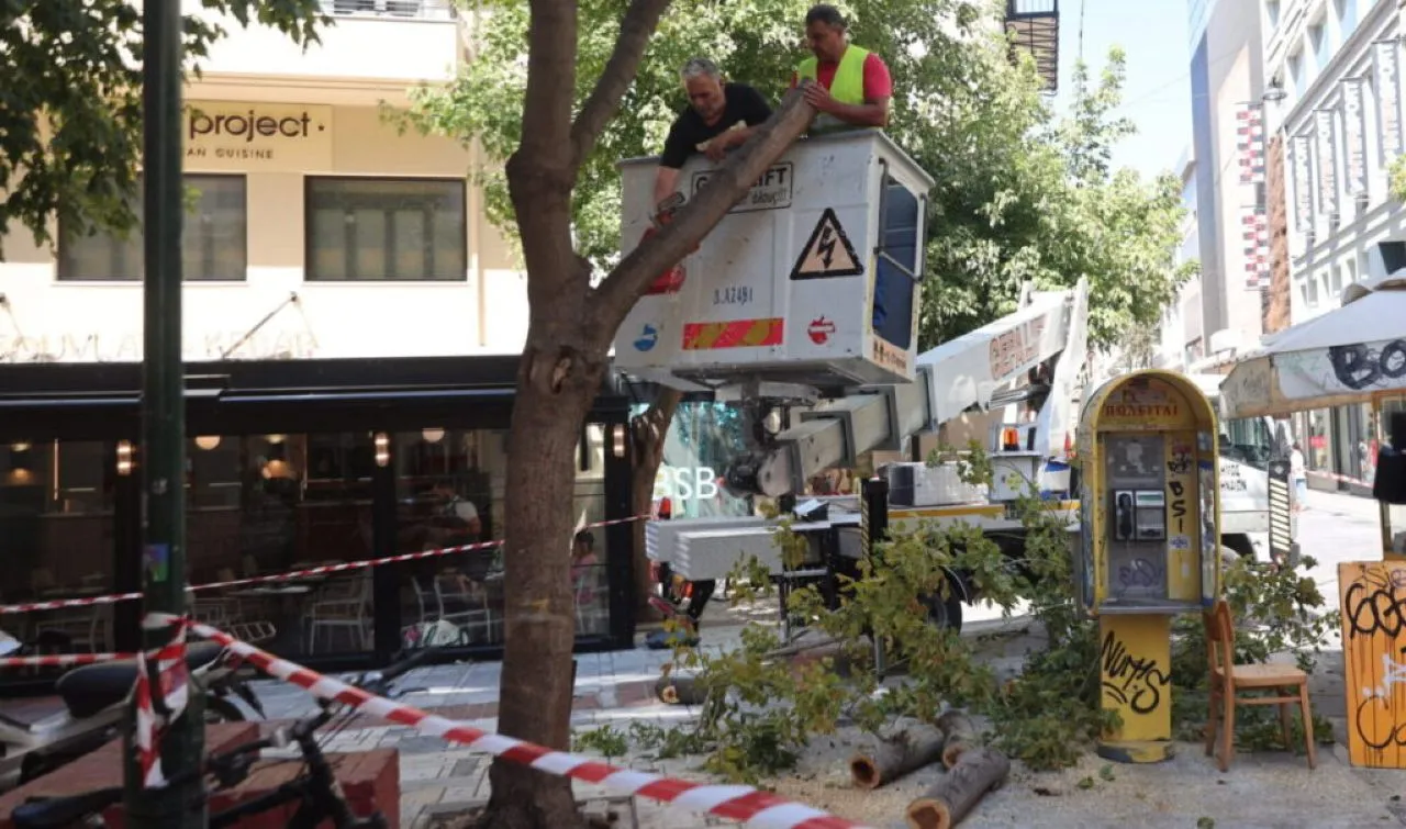 Πτώση δέντρου στην Ερμού λόγω των ισχυρών ανέμων