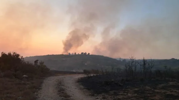 Φωτιά τώρα: Μάχη με τις αναζωπυρώσεις στην Ζάκυνθο