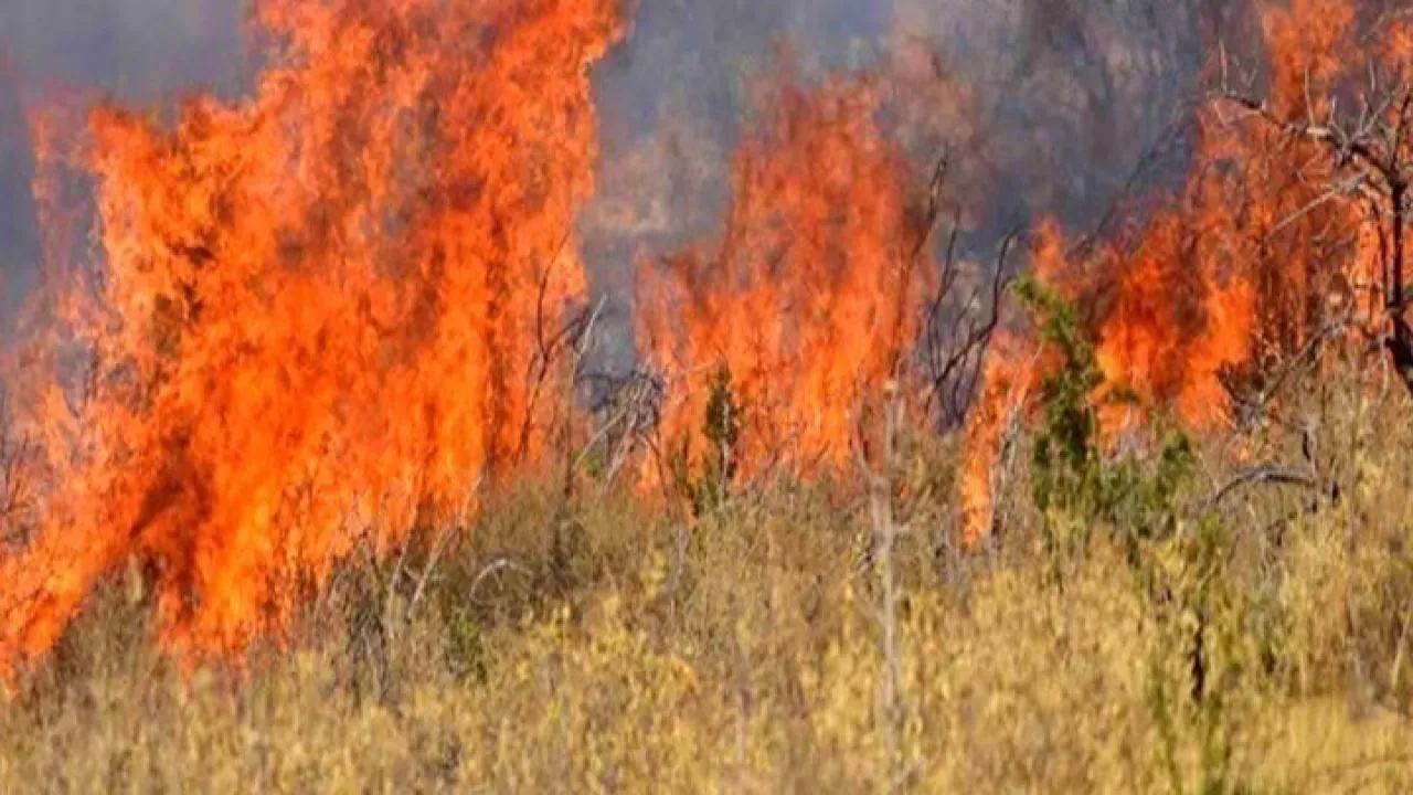 Πολύ υψηλός κίνδυνος πυρκαγιάς σήμερα σε Αττική και περιοχές της Στ. Ελλάδας, Κρήτης, Βορείου και Νοτίου Αιγαίου