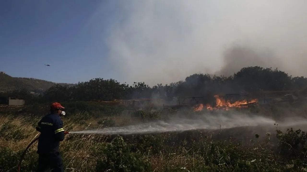 Πυρκαγιά σε αγροτοδασική έκταση στην περιοχή Αμμόβουνο Ορεστιάδας