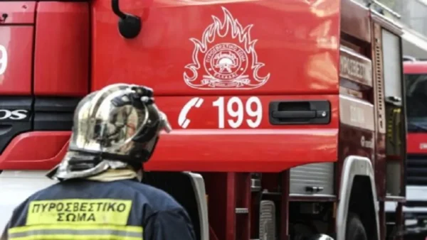 Θεσσαλονίκη: Εκτελούσαν θερμές εργασίες σε οικόπεδο και μελίσσια και τους επιβλήθηκε πρόστιμο από την Πυροσβεστική