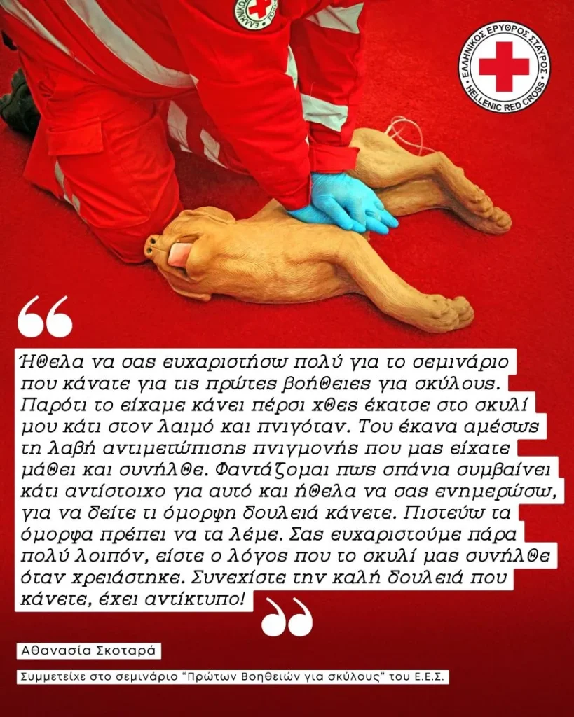 Ελληνικός Ερυθρός Σταυρός: Κοπέλα έσωσε το κατοικίδιό της ακολουθώντας οδηγίες που είχε διδαχθεί στο πρόγραμμα «Πρώτες Βοήθειες για σκύλους