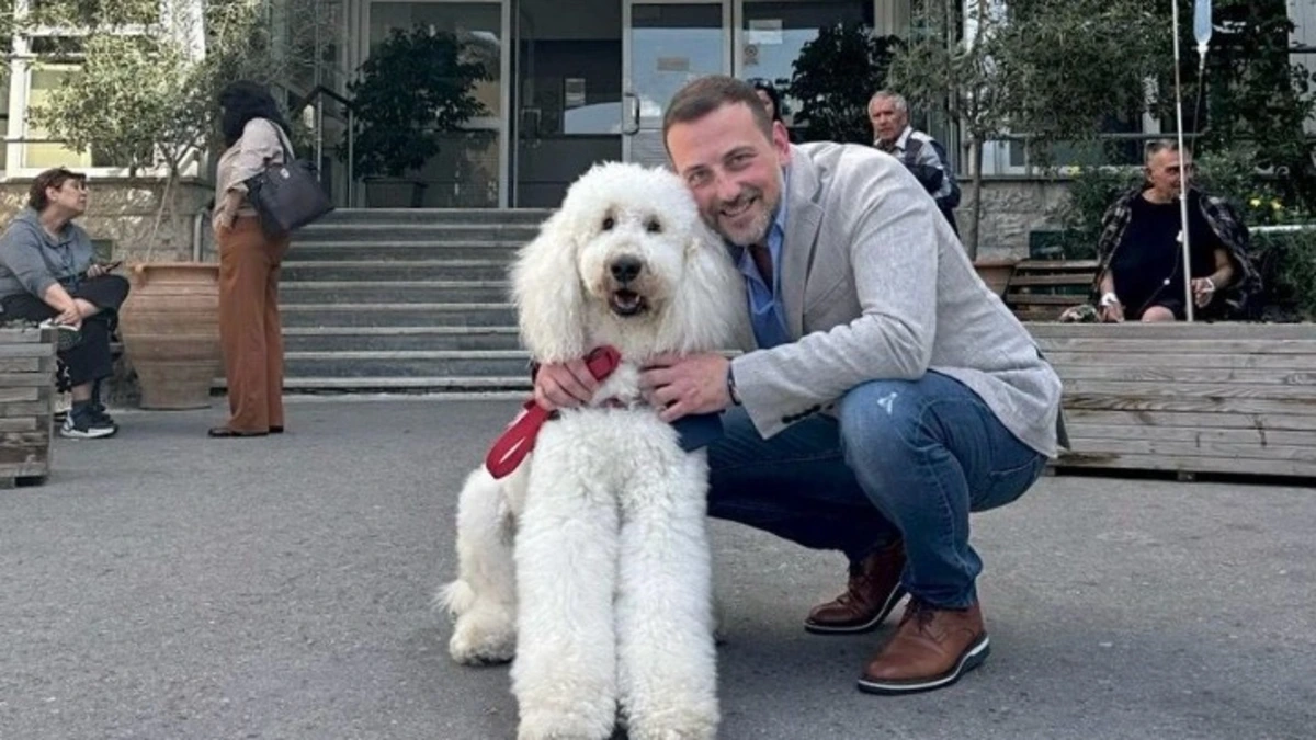 Σκύλοι θεραπείας στο πλευρό των ογκολογικών ασθενών στο νοσοκομείο Μεταξά
