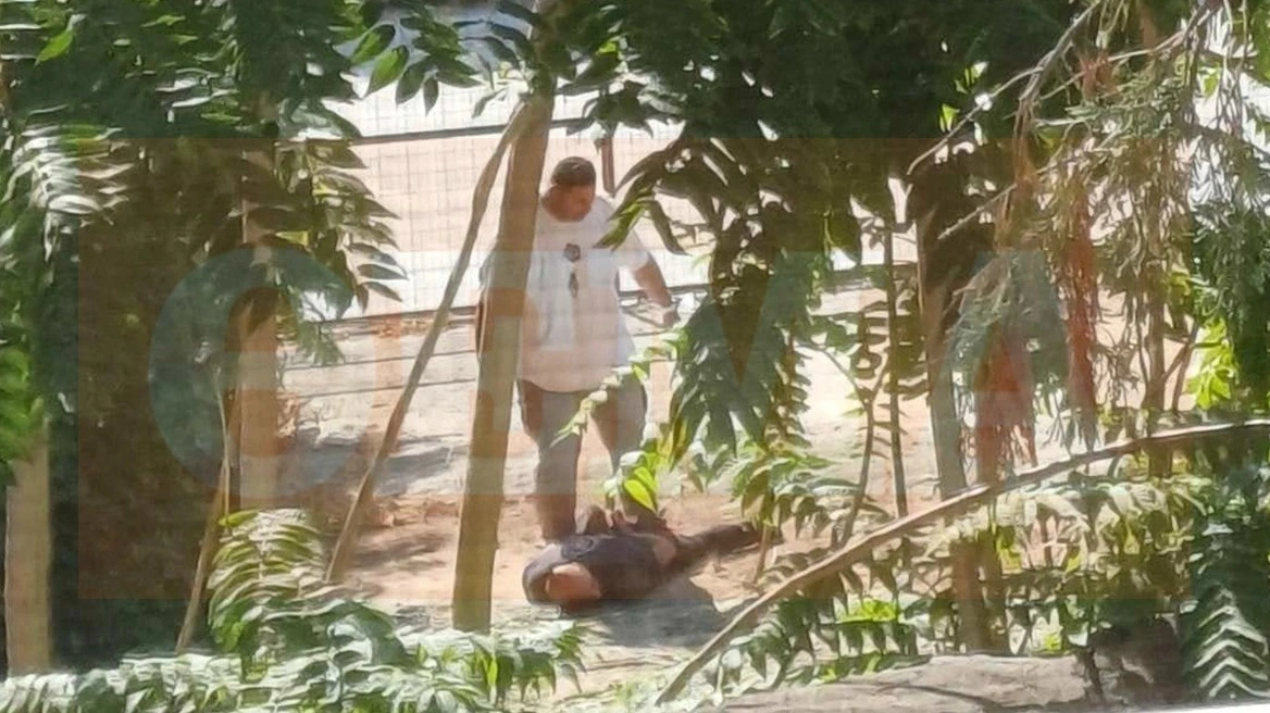 Βόλος: “Καλά της έκανα, αυτό της άξιζε” – Συγκλονίζουν τα πρώτα λόγια του 40χρονου συζυγοκτόνου