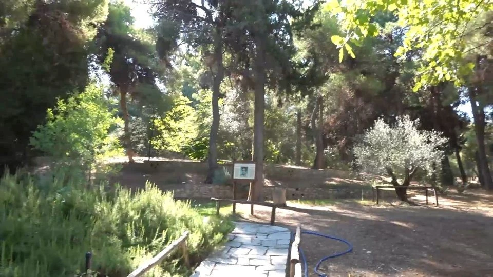 Βοτανικός Κήπος Ι & Α. Διομήδους: Ένας επίγειος παράδεισος και θύλακος φυσικής κληρονομιάς μέσα στην Αθήνα