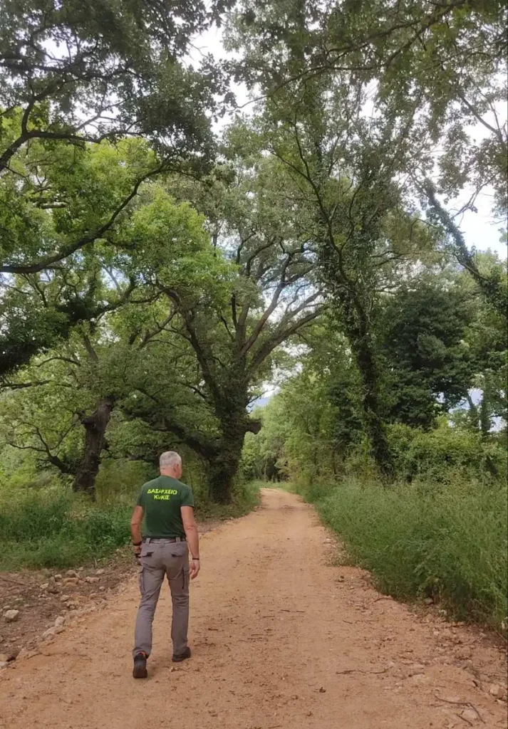 Τα «Χίλια Δέντρα» στις Μουριές Κιλκίς έτοιμα να δώσουν χιλιάδες ανάσες ζωής στους επισκέπτες