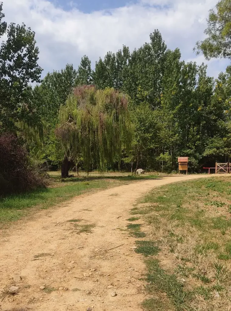 Τα «Χίλια Δέντρα» στις Μουριές Κιλκίς έτοιμα να δώσουν χιλιάδες ανάσες ζωής στους επισκέπτες