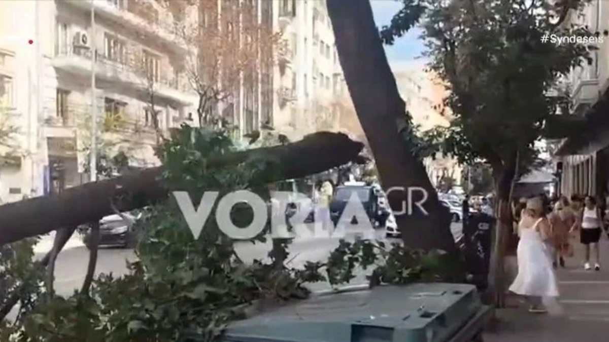 Θεσσαλονίκη: Μεγάλο κλαδί δέντρου έπεσε στην Τσιμισκή- Έκλεισαν δύο λωρίδες κυκλοφορίας 