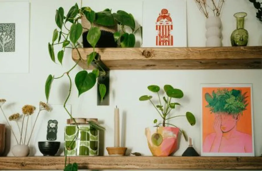 Τα πιο άχρηστα διακοσμητικά που γεμίζουν το σπίτι χωρίς να προσφέρουν τίποτα
