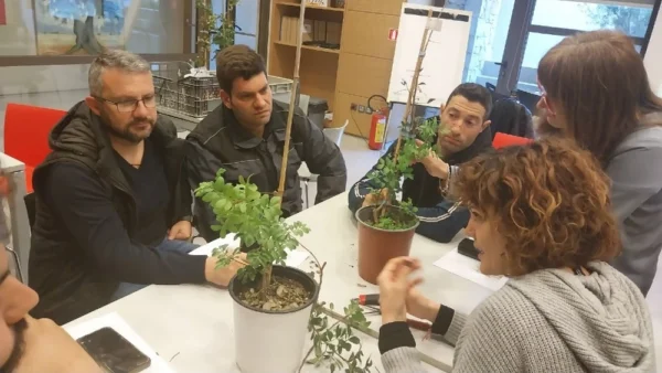 Η Μαστίχα Χίου στη δοκιμασία του 21ου αιώνα: «Μαστιχόδεντρα: Διασφαλίζοντας το μέλλον ενός εθνικού προϊόντος»