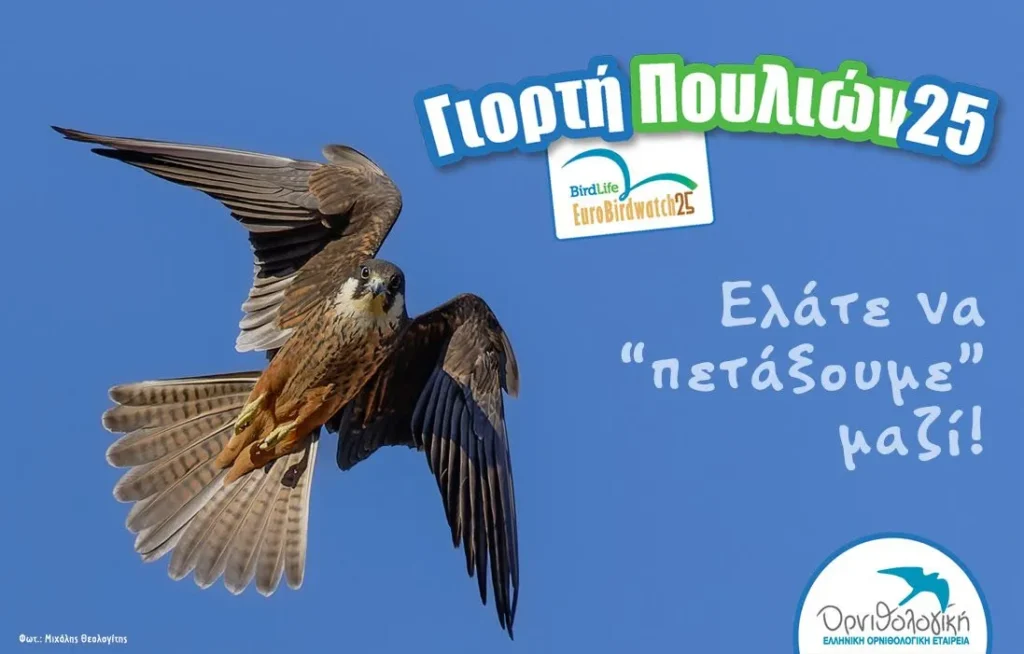 Γιορτή των Πουλιών 2025: γιορτάζουμε τη φθινοπωρινή μετανάστευση σε κάθε γωνιά της χώρας!